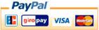 PayPal+