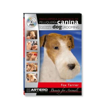 DVD Fox Terrier