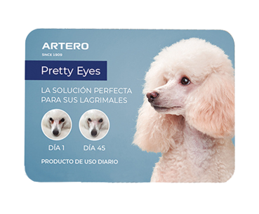 Artero Display Header "Pretty Eyes"