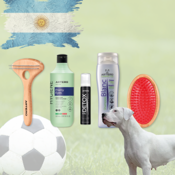 Paket für Argentinische Dogge WM 2026