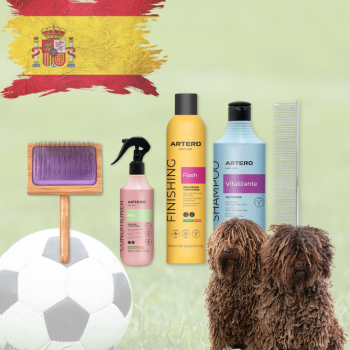 Paket für SPanischen Wasserhund WM 2026