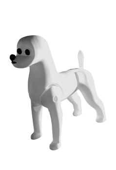 Modellhund Bichon