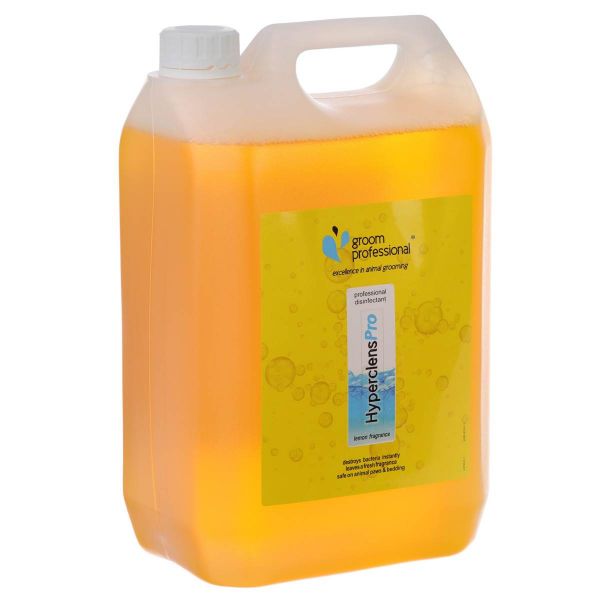 Desinfektionsmittel Zitrone 5 Liter