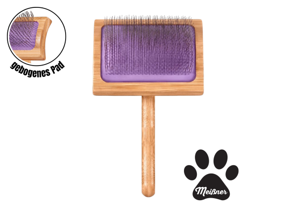 Paket für SPanischen Wasserhund WM 2026