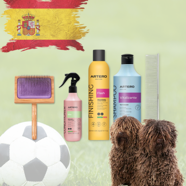 Paket für SPanischen Wasserhund WM 2026
